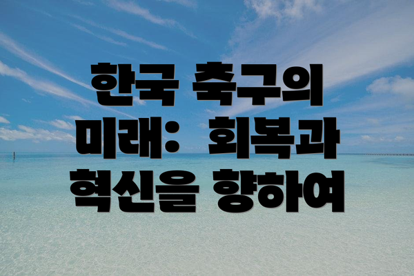한국 축구의 미래:  회복과 혁신을 향하여