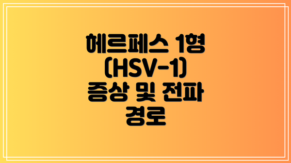 헤르페스 1형 (HSV-1) 증상 및 전파 경로