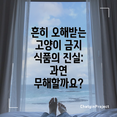 흔히 오해받는 고양이 금지 식품의 진실: 과연 무해할까요?