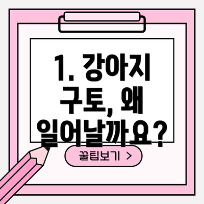 1. 강아지 구토, 왜 일어날까요?