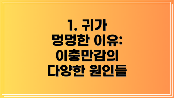 1. 귀가 멍멍한 이유: 이충만감의 다양한 원인들