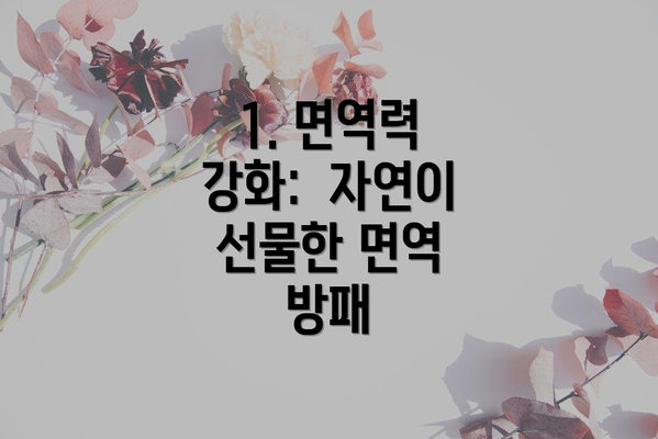 1. 면역력 강화:  자연이 선물한 면역 방패