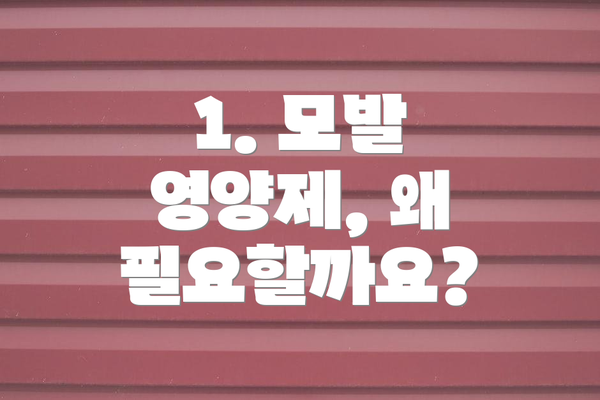 1. 모발 영양제, 왜 필요할까요?