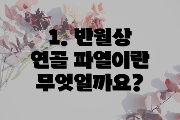 1. 반월상 연골 파열이란 무엇일까요?