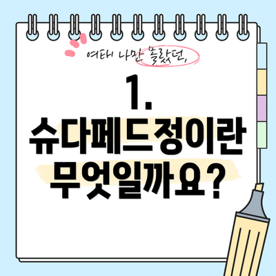 1. 슈다페드정이란 무엇일까요?