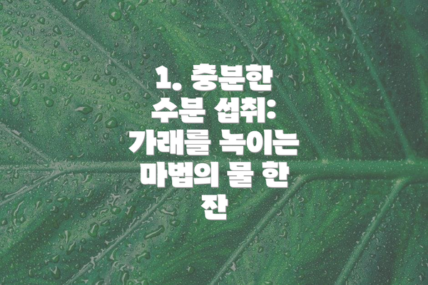 1. 충분한 수분 섭취: 가래를 녹이는 마법의 물 한 잔