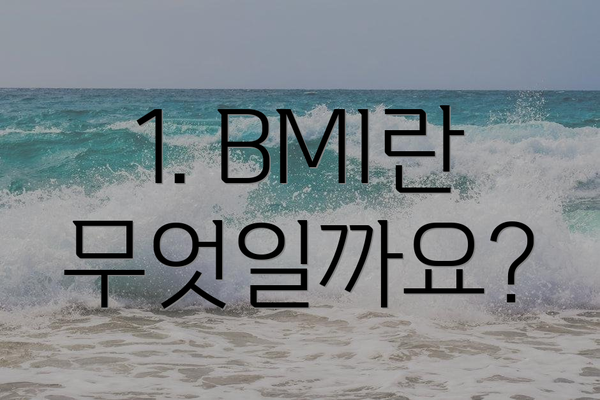 1. BMI란 무엇일까요?