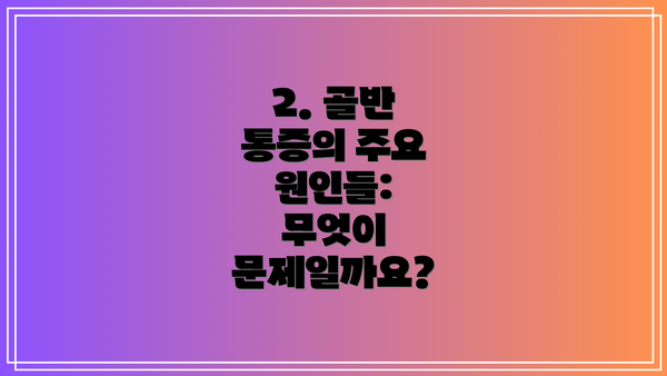 2. 골반 통증의 주요 원인들: 무엇이 문제일까요?