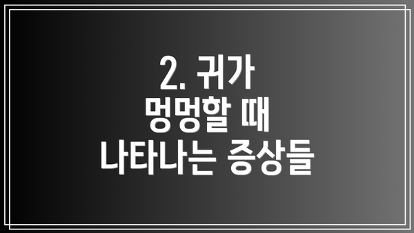 2. 귀가 멍멍할 때 나타나는 증상들