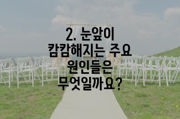 2. 눈앞이 캄캄해지는 주요 원인들은 무엇일까요?