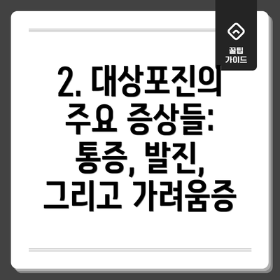 2. 대상포진의 주요 증상들: 통증, 발진, 그리고 가려움증