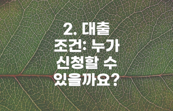 2. 대출 조건: 누가 신청할 수 있을까요?