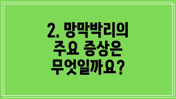 2. 망막박리의 주요 증상은 무엇일까요?