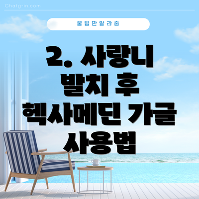 2. 사랑니 발치 후 헥사메딘 가글 사용법