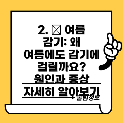2. 🤧 여름 감기: 왜 여름에도 감기에 걸릴까요? 원인과 증상 자세히 알아보기