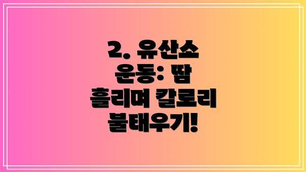 2. 유산소 운동: 땀 흘리며 칼로리 불태우기!