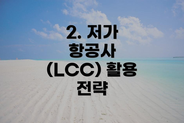 2. 저가 항공사 (LCC) 활용 전략