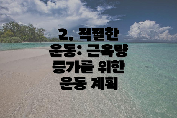 2. 적절한 운동: 근육량 증가를 위한 운동 계획