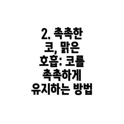 2. 촉촉한 코, 맑은 호흡: 코를 촉촉하게 유지하는 방법