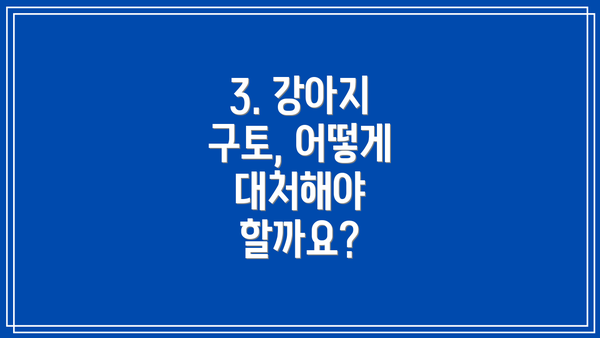 3. 강아지 구토, 어떻게 대처해야 할까요?