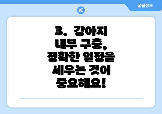3.  강아지 내부 구충, 정확한 일정을 세우는 것이 중요해요!