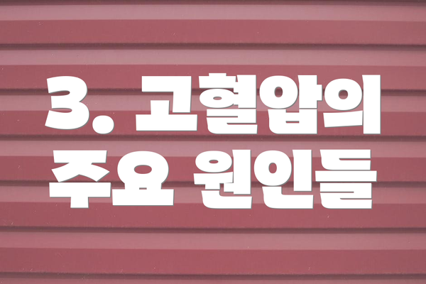 3. 고혈압의 주요 원인들
