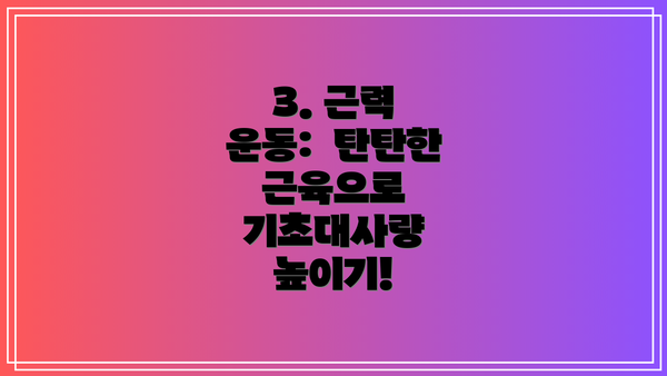 3. 근력 운동: 탄탄한 근육으로 기초대사량 높이기!