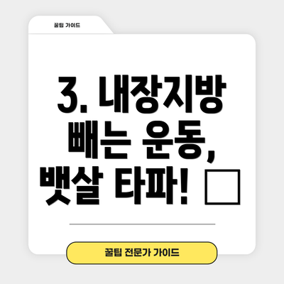 3. 내장지방 빼는 운동, 뱃살 타파! 💪