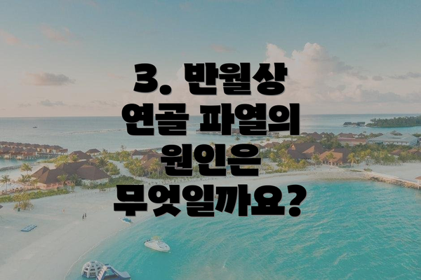 3. 반월상 연골 파열의 원인은 무엇일까요?