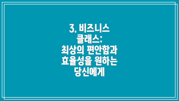 3. 비즈니스 클래스:  최상의 편안함과 효율성을 원하는 당신에게