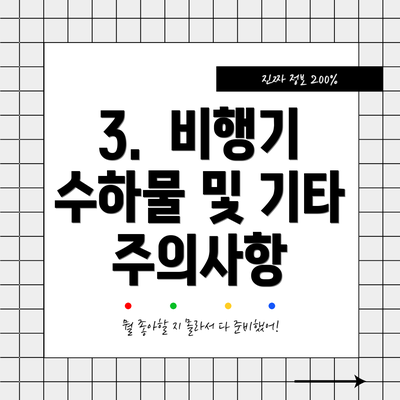 3. 비행기 수하물 및 기타 주의사항