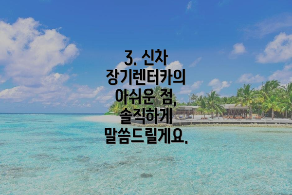 3. 신차 장기렌터카의 아쉬운 점, 솔직하게 말씀드릴게요.