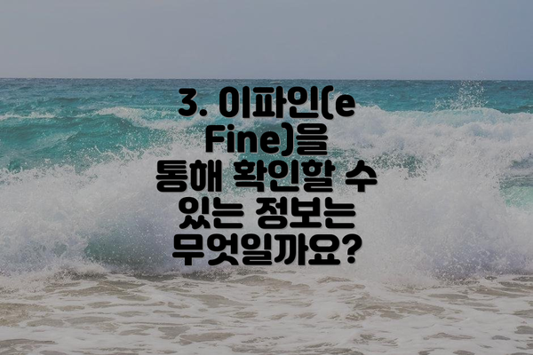 3. 이파인(eFine)을 통해 확인할 수 있는 정보는 무엇일까요?