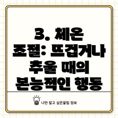 3. 체온 조절: 뜨겁거나 추울 때의 본능적인 행동
