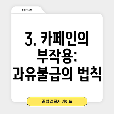 3. 카페인의 부작용: 과유불급의 법칙