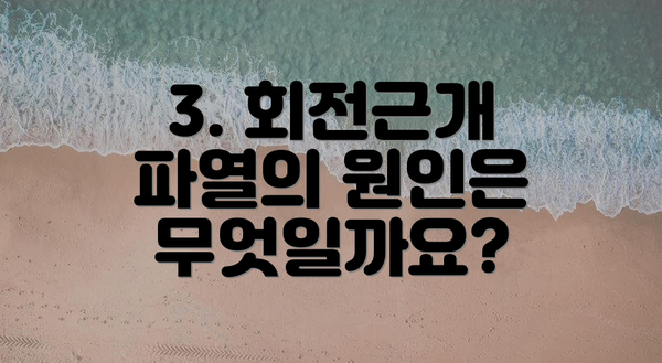 3. 회전근개 파열의 원인은 무엇일까요?