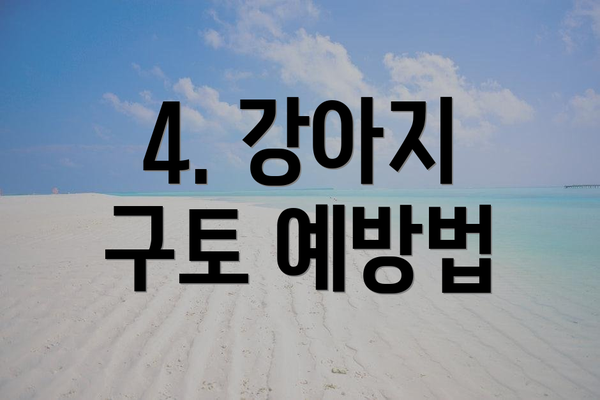 4. 강아지 구토 예방법