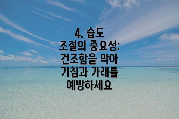 4. 습도 조절의 중요성:  건조함을 막아 기침과 가래를 예방하세요