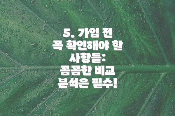 5. 가입 전 꼭 확인해야 할 사항들: 꼼꼼한 비교 분석은 필수!