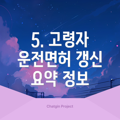 5. 고령자 운전면허 갱신 요약 정보