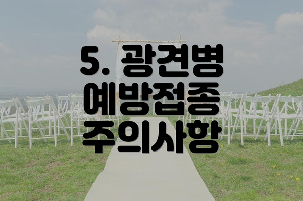 5. 광견병 예방접종 주의사항
