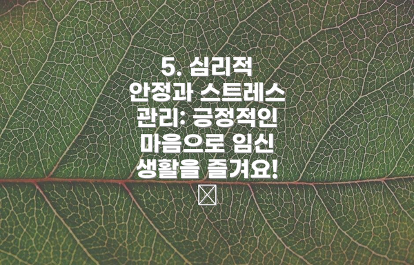 5. 심리적 안정과 스트레스 관리: 긍정적인 마음으로 임신 생활을 즐겨요! 😌