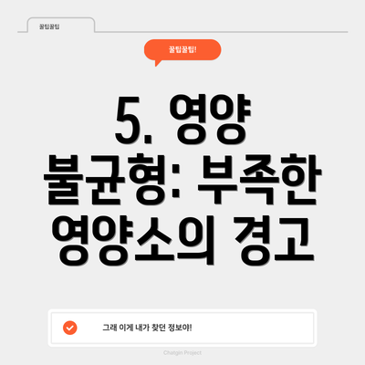 5. 영양 불균형: 부족한 영양소의 경고