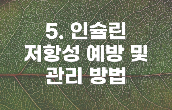5. 인슐린 저항성 예방 및 관리 방법