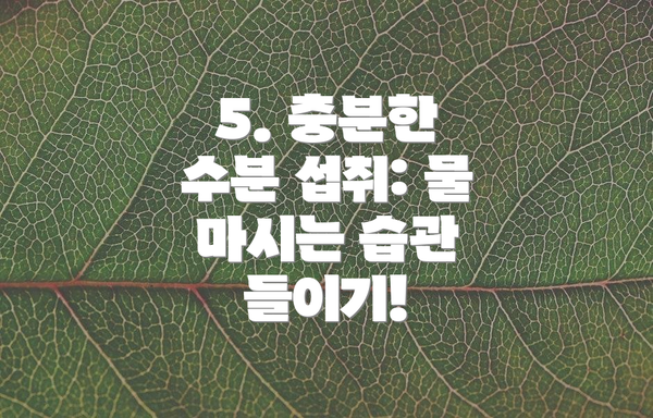 5. 충분한 수분 섭취: 물 마시는 습관 들이기!