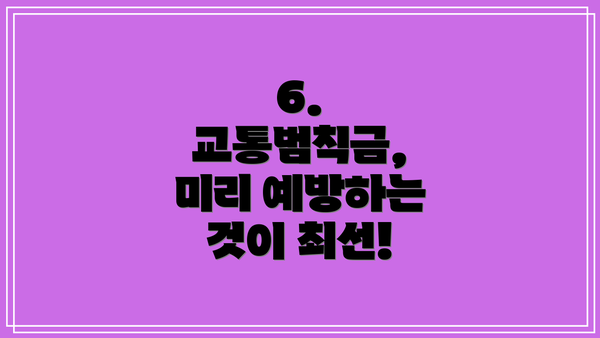 6. 교통범칙금, 미리 예방하는 것이 최선!