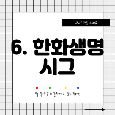 6. 한화생명 시그