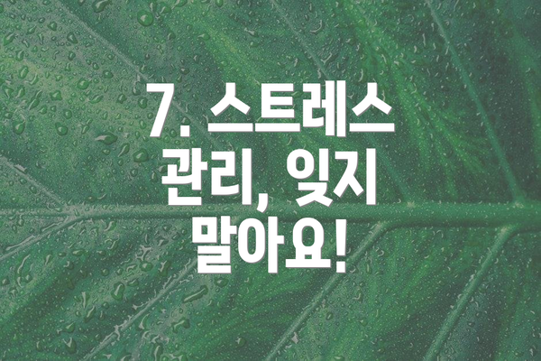 7. 스트레스 관리, 잊지 말아요!