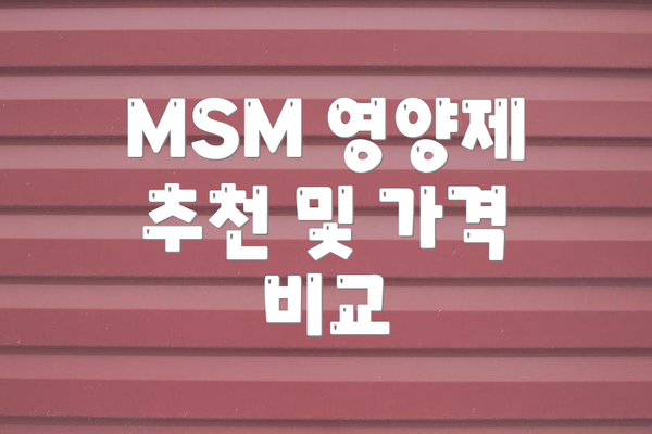 MSM 영양제 추천 및 가격 비교