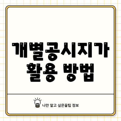 개별공시지가 활용 방법